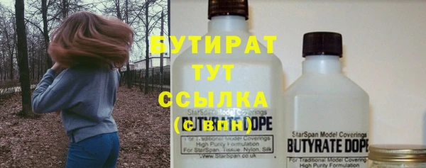 твердый Новозыбков