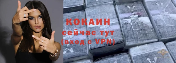 шишки Новокубанск