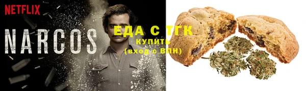 шишки Новокубанск