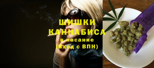 шишки Новокубанск
