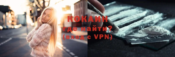 твердый Новозыбков