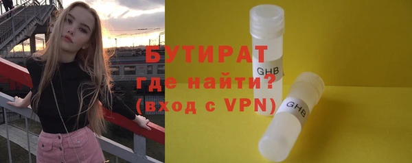твердый Новозыбков