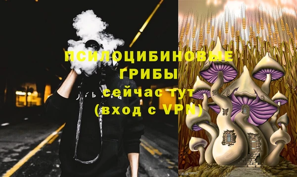 твердый Новозыбков