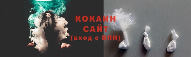 твердый Новозыбков