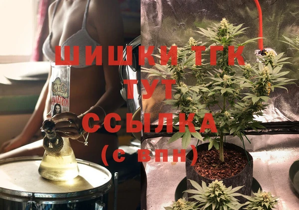 твердый Новозыбков
