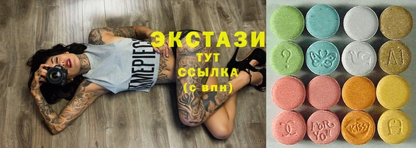 твердый Новозыбков