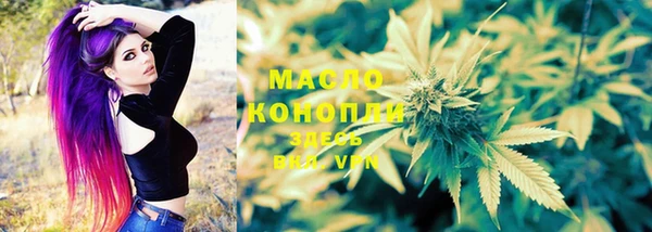 твердый Новозыбков
