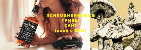 mdma Новодвинск