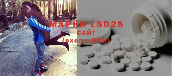 твердый Новозыбков