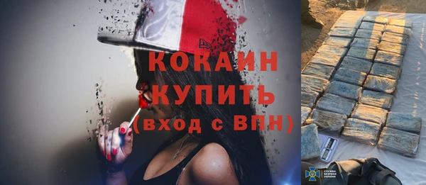 твердый Новозыбков