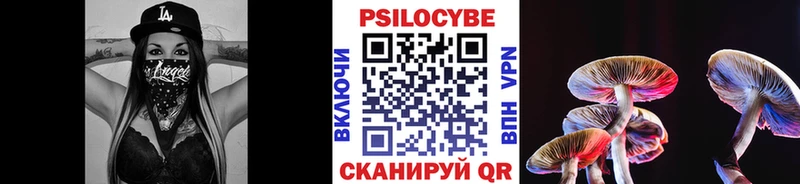 Галлюциногенные грибы Psilocybine cubensis  Дыгулыбгей 